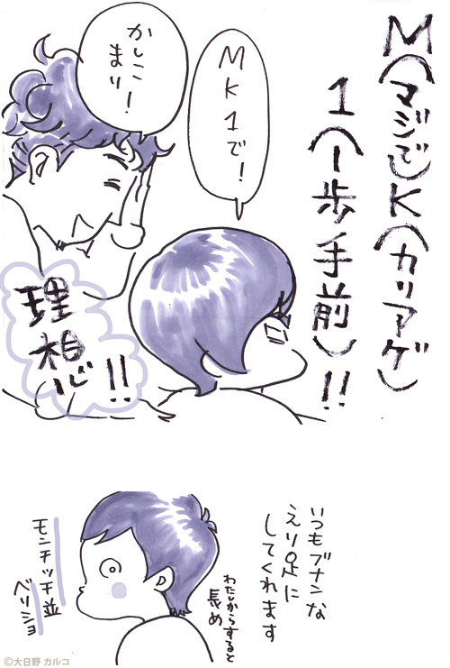 �����J���R�́u���݂ԓ��L�B�v�`�ݑ��u���[�X�B�`