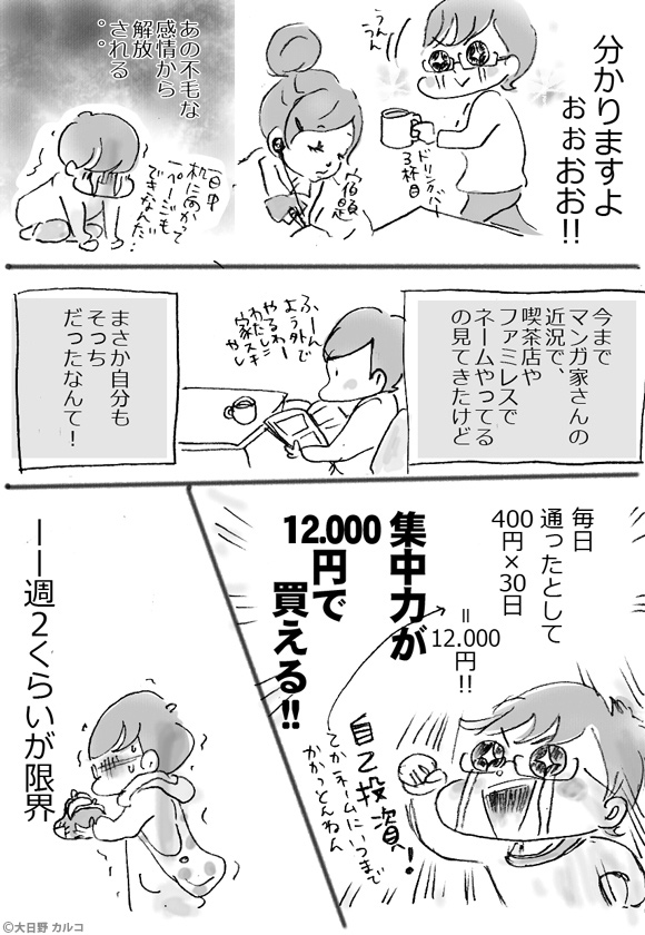 �����J���R�́u���݂ԓ��L�B�v�`���ݏ��q�̂����������̔����`