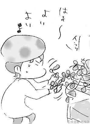 �����J���R�́u���݂ԓ��L�B�v�`���ݏ��q�ƃ����b�T�`