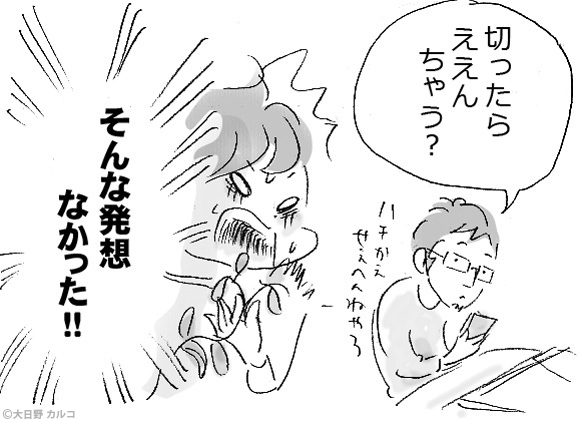 �����J���R�́u���݂ԓ��L�B�v�`���ݏ��q�ƃ����b�T�`