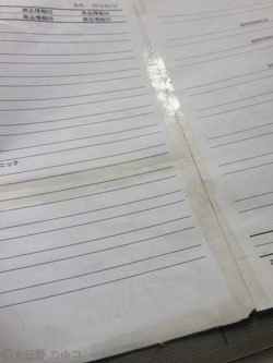 �����J���R�́u���݂ԓ��L�B�v�`���ݏ��q�ƃl�[���p���B�`