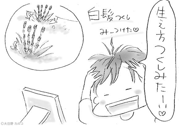 �����J���R�́u���݂ԓ��L�B�v�`���ݏ��q�Ət��������u�ԁB�`