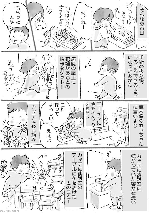 �����J���R�́u���݂ԓ��L�B�v�`���ݏ��q�ƃI���e�ƃE���B�`