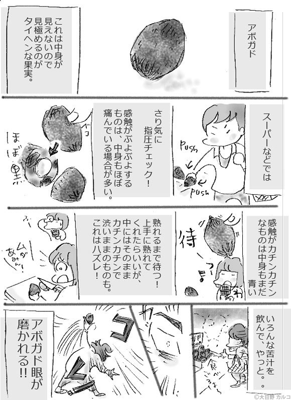 �����J���R�́u���݂ԓ��L�B�v�`���ݏ��q�ƃA�{�K�h�B�`