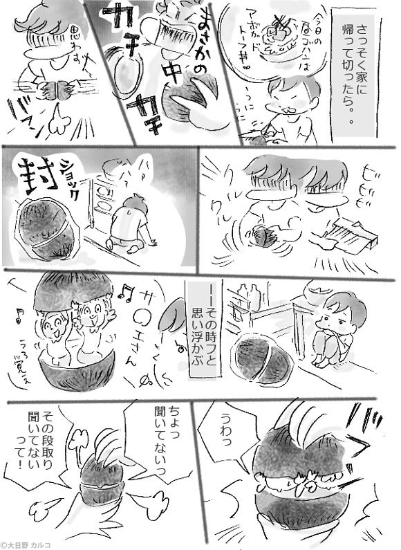 �����J���R�́u���݂ԓ��L�B�v�`���ݏ��q�ƃA�{�K�h�B�`