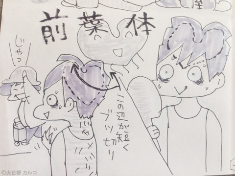 �����J���R�́u���ݏ��q�G���L�B�v�`�H�̃A�o���M�����h�w�A�[�B�`