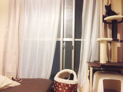 �����J���R�́u�ӂ[�̓��L�B�v�`�䕗�������`