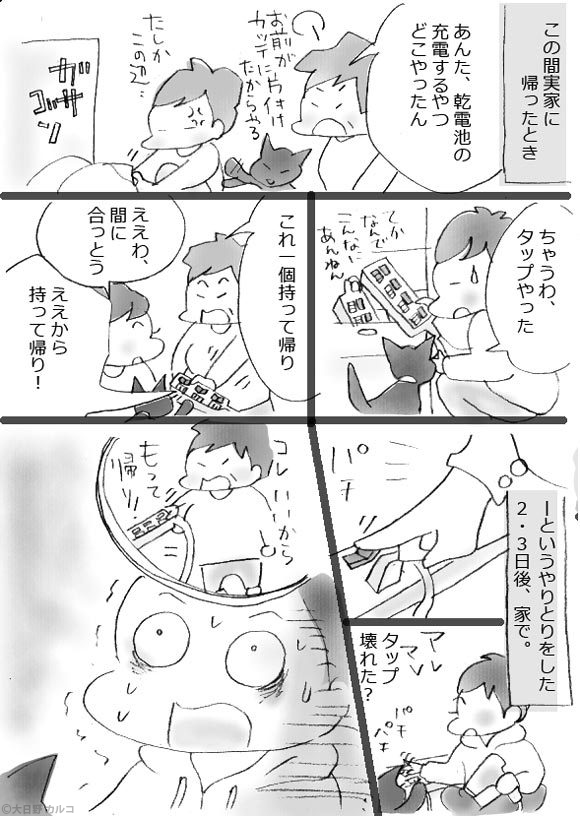 �����J���R�́u���ݏ��q�Q�v�@���ݏ��q�̋~����B�`